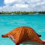 Saona Island Private Tour from Cap Cana Hotels – Cap Cana Lobby