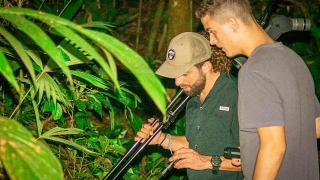 Manuel Antonio: Night Walking Tour