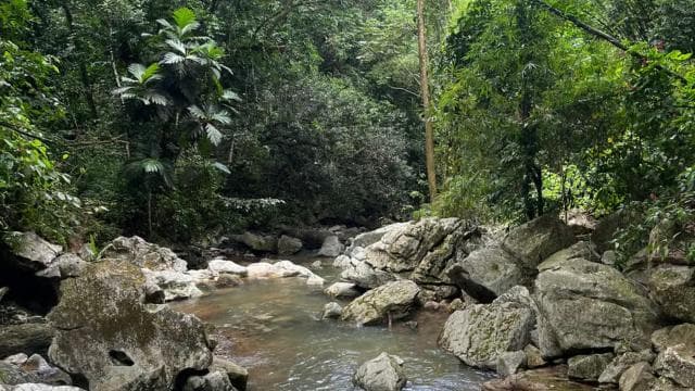 Caguas: Waterfall and Cave Adventure