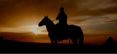 Punta Cana: Sunset Horseback Ride in Macao Beach and Forest