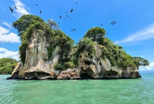 Los Haitises Boat Ride + Caño Hondo Natural Pools