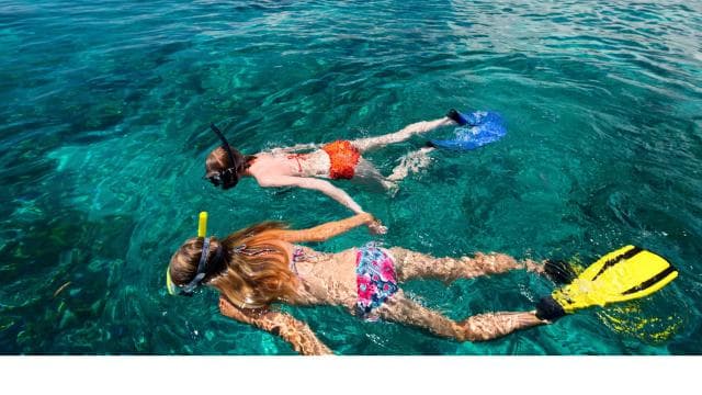 LICENSED Two-Hour Snorkeling Adventure Cahuita National Park