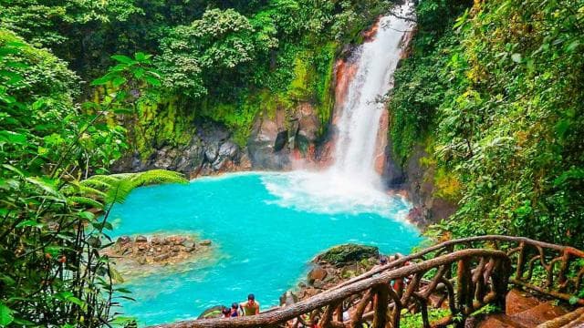 Rio Celeste Waterfall and Sloth Hike with Lunch