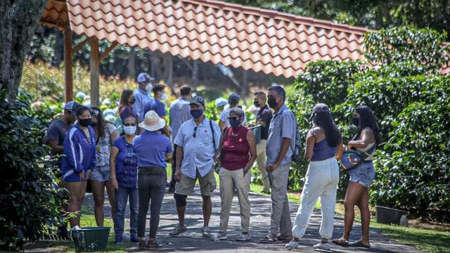 Alajuela: Kávéültetvény vezetett túra kóstolóval