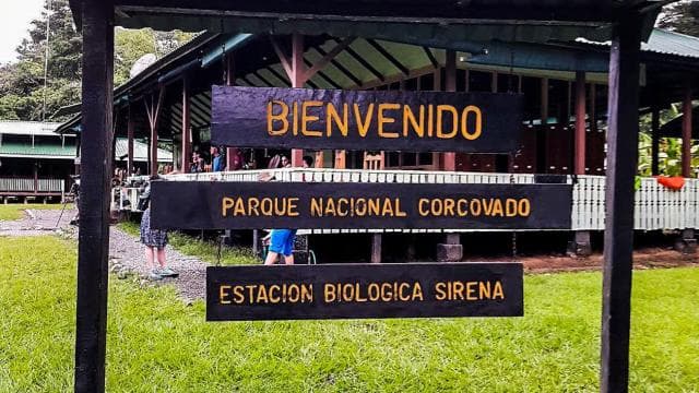 Corcovado National Park- Sirena/San Pedrillo Station - 1 Day