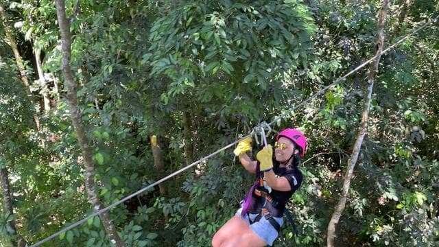 Manuel Antonio: Zipline Canopy Tour with Butterfly Garden