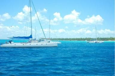 Juan Dolio: Saona Island Day Trip with Lunch & Open Bar