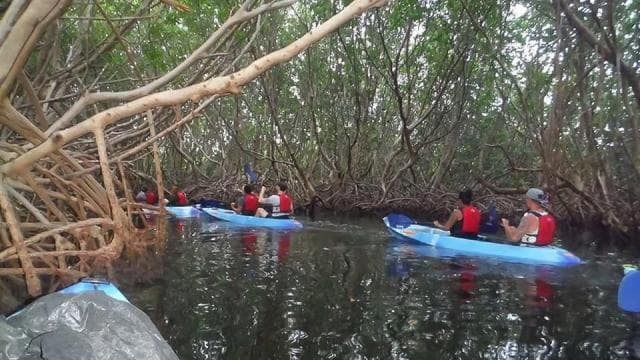 From San Juan: Bioluminescent Bay Kayak Adventure at Night