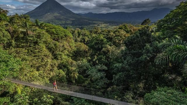 Costa Rica: Mistico Hanging Bridges Guided Tour