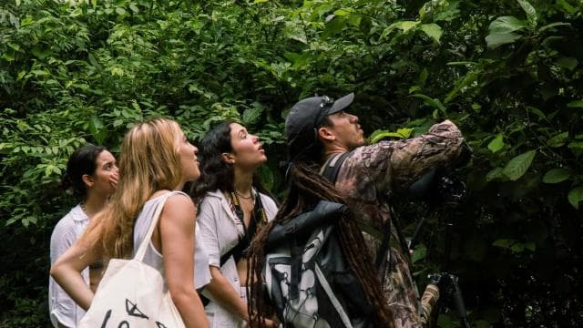 Manuel Antonio Park: Guided Walking Tour with a Naturalist
