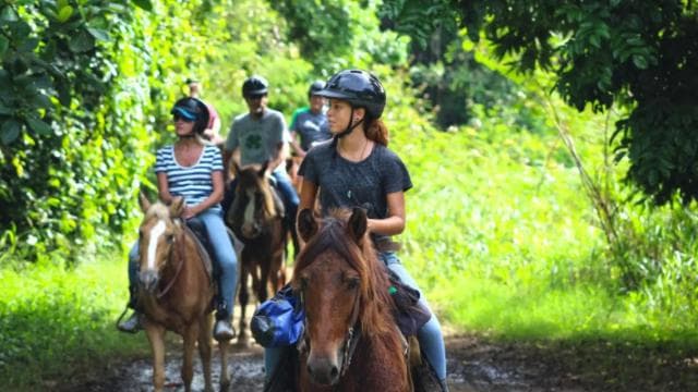 Scenic Horseback Riding Experience