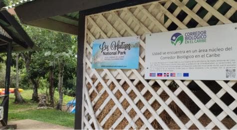 Cano Hondo Natural Pools & Los Haitises boat tour