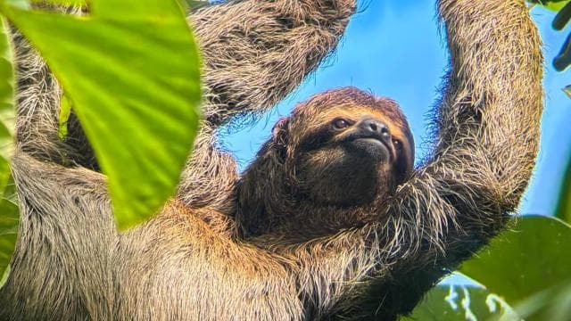 Manuel Antonio National Park: Private Nature Experience