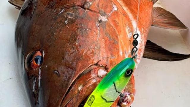 Playa Mantas: Private Mini Fishing Boat Rental
