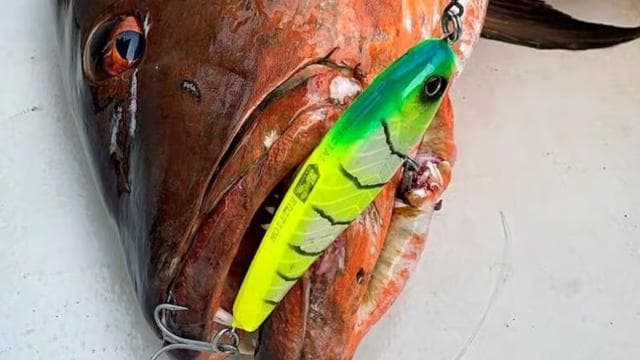 Playa Mantas: Beach Fishing Tour