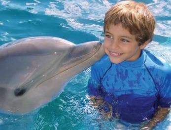 Puerto Plata: Dolphin Encounter at Ocean World