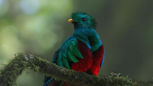 Full day excursion in the cloud Forest