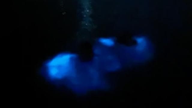 La Parguera: Bioluminescent Bay Boat Tour