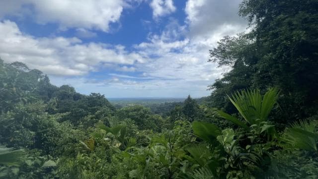 Manuel Antonio: Hanging Bridges and Waterfall Tour
