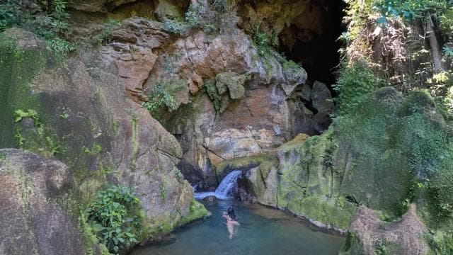 Discover a Hidden Paradise & Learn about Plants.