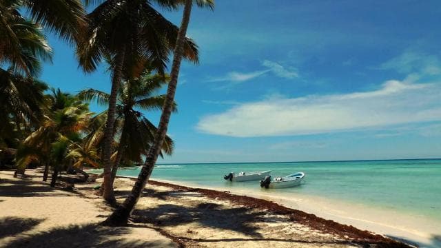 Punta Cana: Saona Island All-Inclusive Day Trip