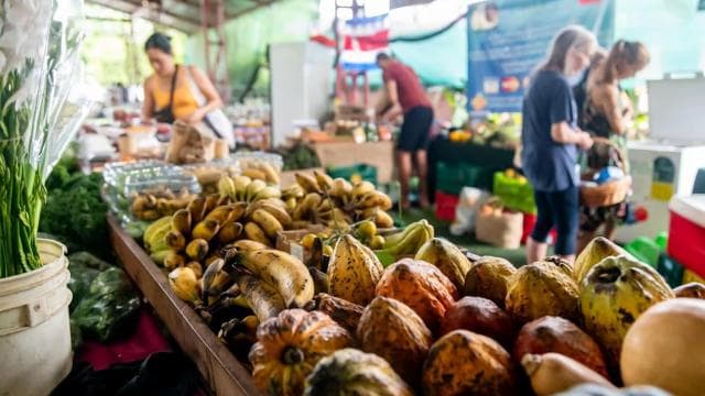 Costa Rica: Farmers Market Tour with a Local
