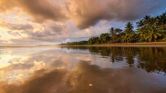 Uvita: Marino Ballena National Park Whale-Watching Tour