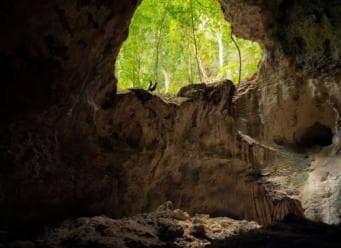 Los Haitises: Hiking and Kayaking natural pools Tour & Lunch