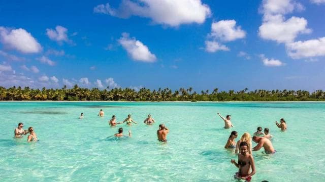 Saona Island: Relaxation Day Trip with Open Bar
