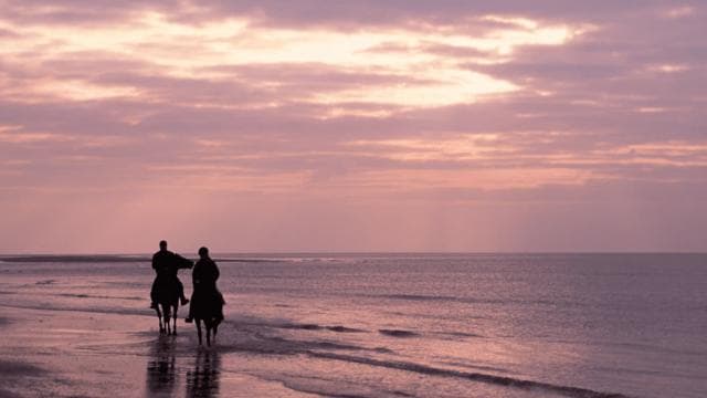 Tamarindo: Horseback to Conchal Beach Guanacaste, Costa Rica