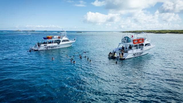 All Inclusive Snorkel and Slide Boat Tour: Icacos or Vieques