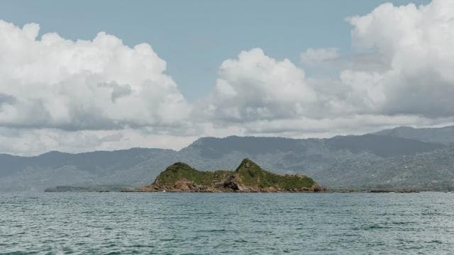 Uvita: Marino Ballena National Park Private Guided Walk Tour