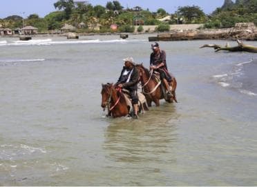 Beach horse back riding with countryside