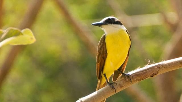 Private Tour Diria National Park Unspoken Hiking and Nature