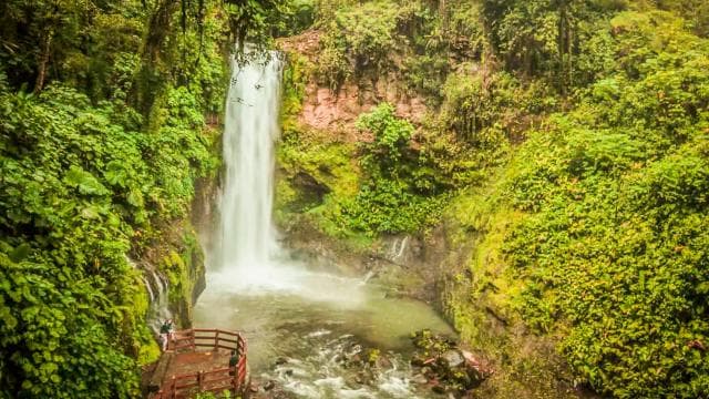 Poás Volcano, Coffee Plantation & La Paz Waterfall Gardens