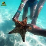 Saona Island Tour from Bayahibe – Natural Pool Excursion