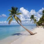 Full day Saona Island adventure