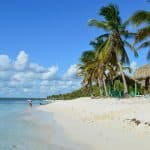 From Santo Domingo: Isla Saona Full-Day Tour with Lunch