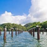 Los Haitises Tour from Santo Domingo, Samaná or Sabana de la Mar. Full Day Trip.