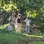 Las Galeras : El Limón waterfalls Tour Private (horse riding, Lunch & swimming)