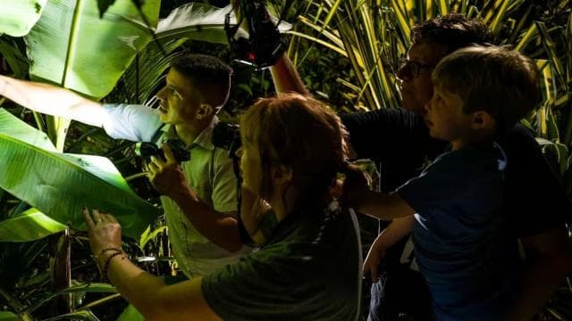 Tortuguero: Canoe tour package and night walk in the jungle.