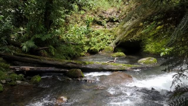 San José: Guided Volcano, Waterfall & Coffee Farm Day Trip