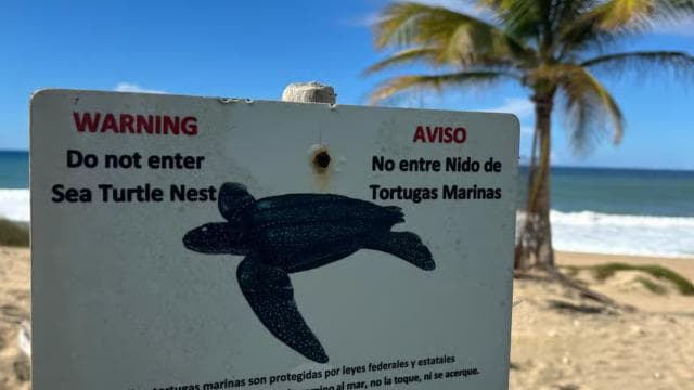 San Juan:Beach hopping Los Tubos, Hacienda Esperanza & more
