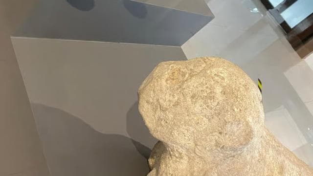 Uvita: Archaeological Sites with Spheres Stone