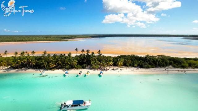 Catamaran Tour to Saona Island with Tropical Buffet Lunch