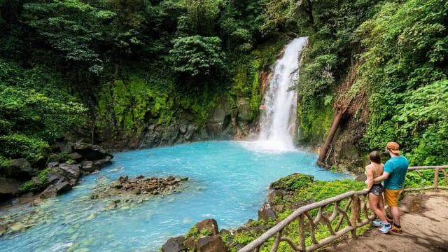 Rio Celeste Waterfall and Sloth Hike with Lunch
