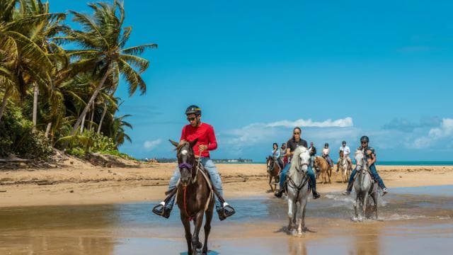 Carabalí Rainforest Park: Beach Horseback Riding