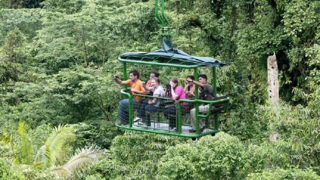 From San Jose: 6-in-1 Rainforest Bridges & Cables Adventure