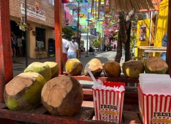 Puerto Plata Private City Tour