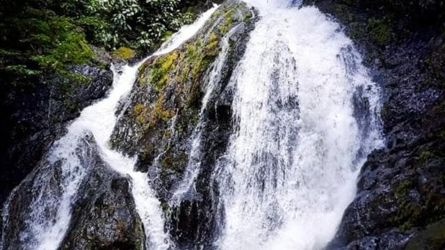 Jaco: Rainforest Horseback Ride to El Encanto Waterfall
